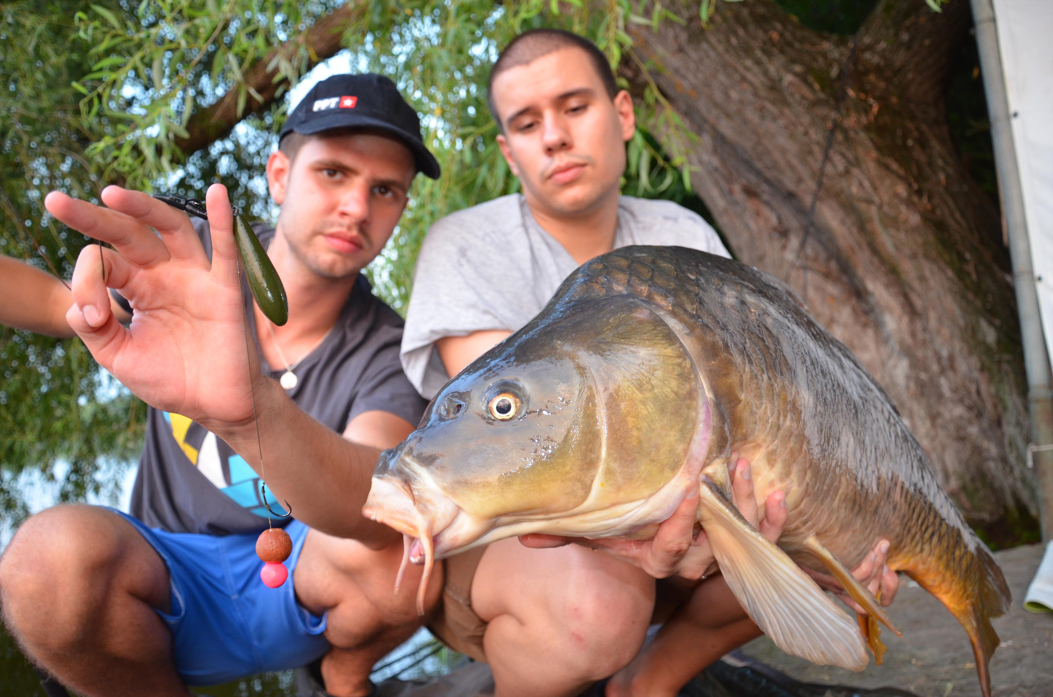 Sezon 2012 - Teste PPT Tancabesti 